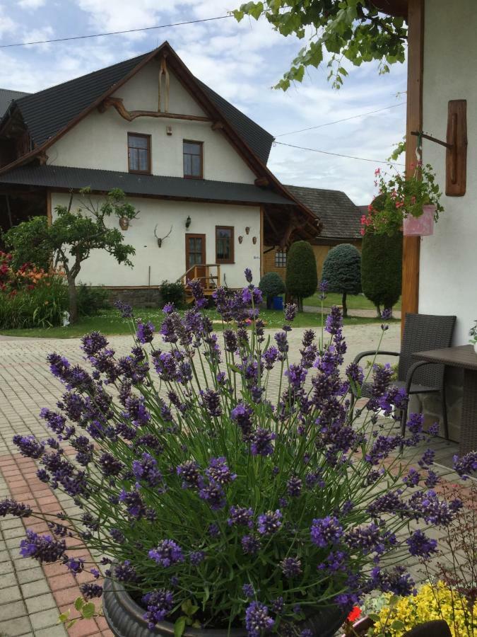 Dom Rodziny Sojkow Bed & Breakfast Bialka Tatrzanska Exterior photo